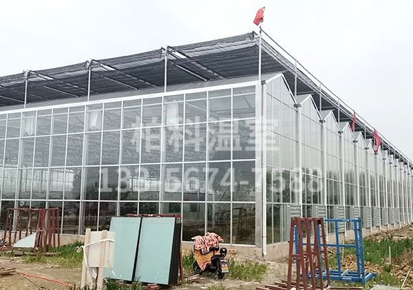 small4_15864809156883009