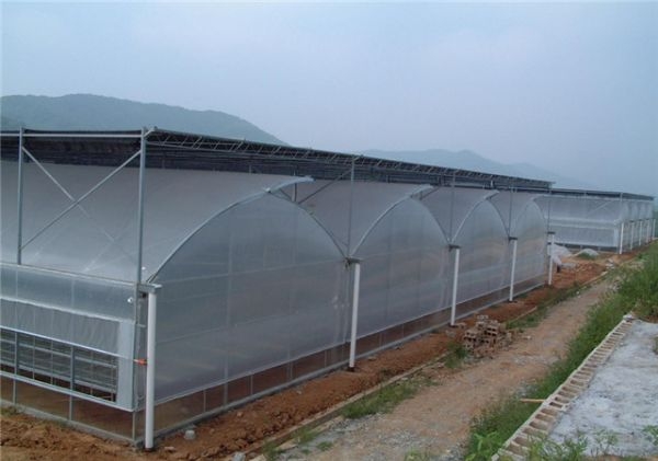 山東溫室大棚廠家