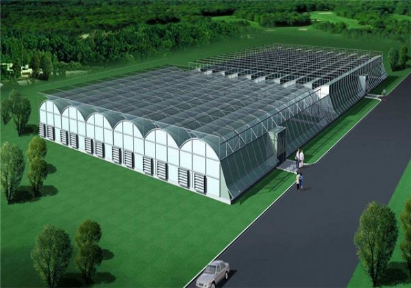 山東溫室大棚廠家