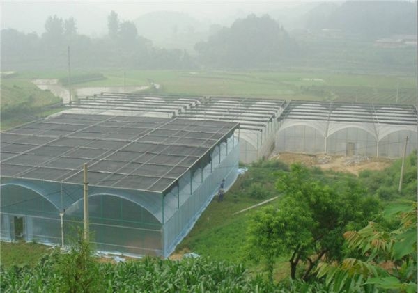 山東智能溫室大棚廠家